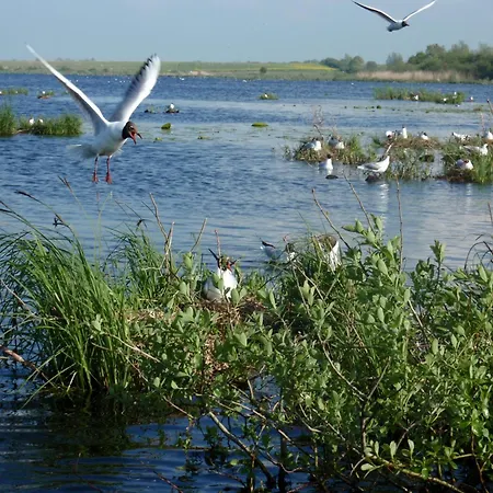 Stajnia Czahary * Pogorzelica (Gmina Rewal)
