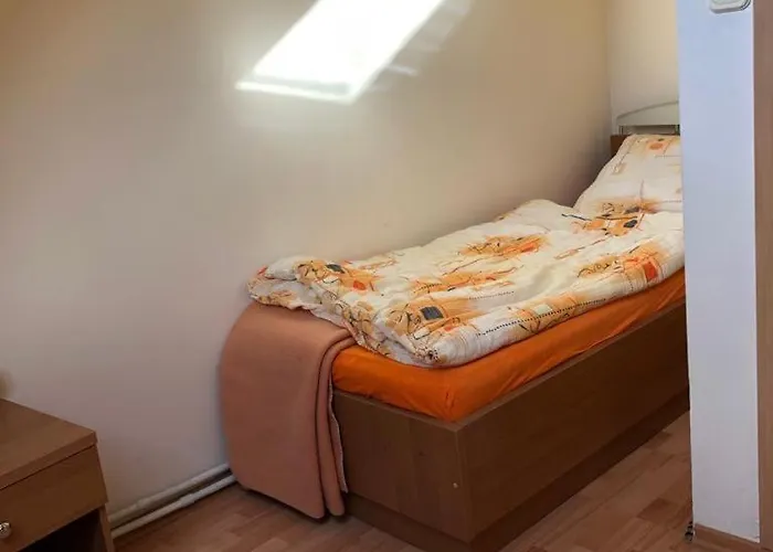 Kemp Stajnia Czahary *