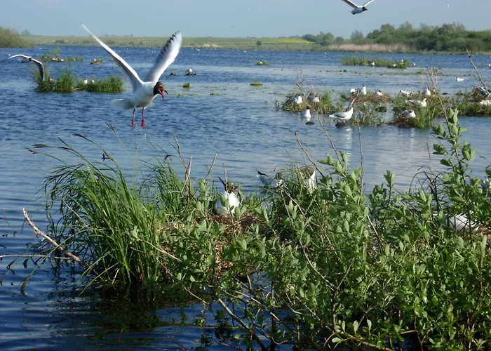 Stajnia Czahary * Pogorzelica (Gmina Rewal)